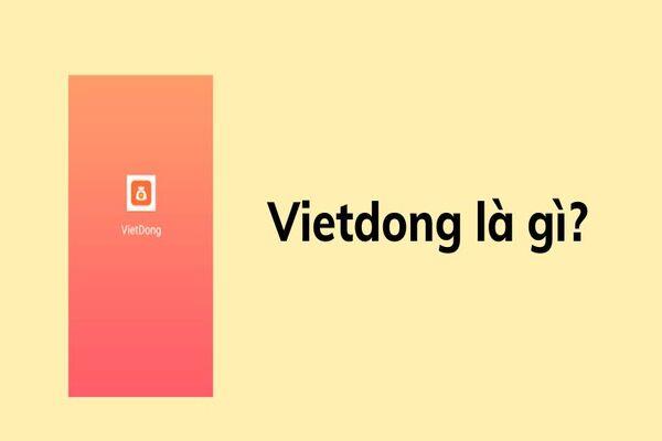 Vietdong là một ứng dụng cho vay trực tuyến uy tín hàng đầu tại Việt Nam